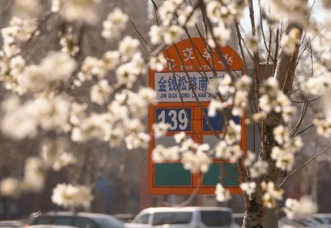 @金钱松东路36号：沈阳体育学院，遇到你真好