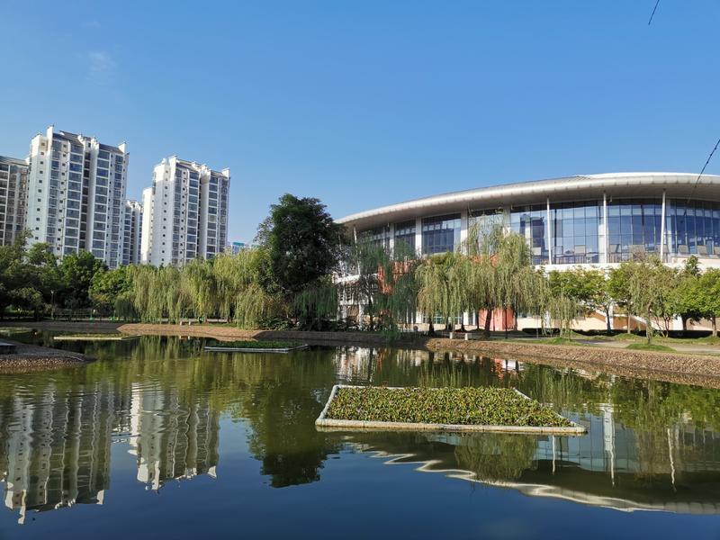 崇左的大学（广西崇左四所好高中）