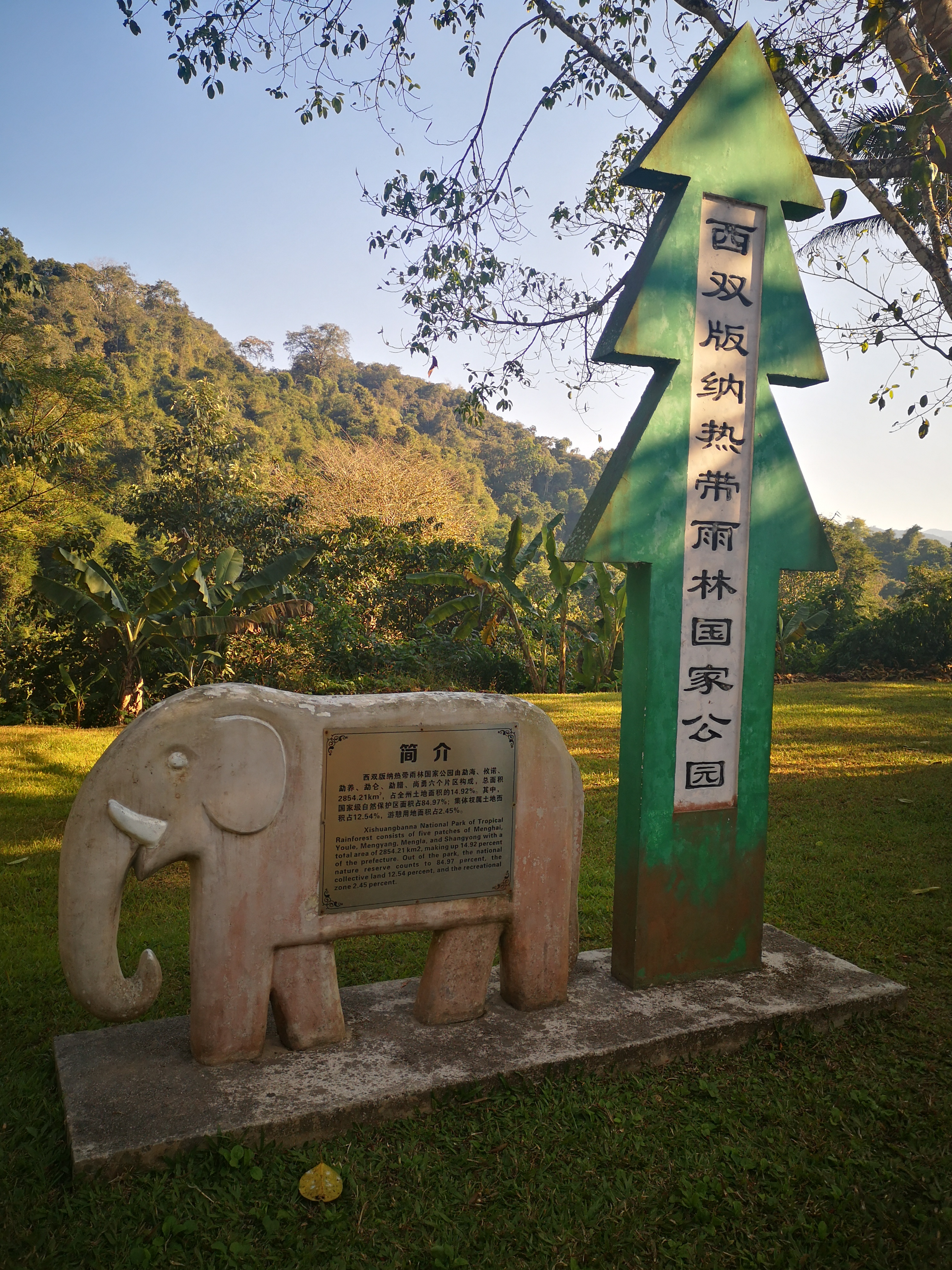 西双版纳8天9晚2600元，中科院热带植物园最详细攻略看这一篇就够