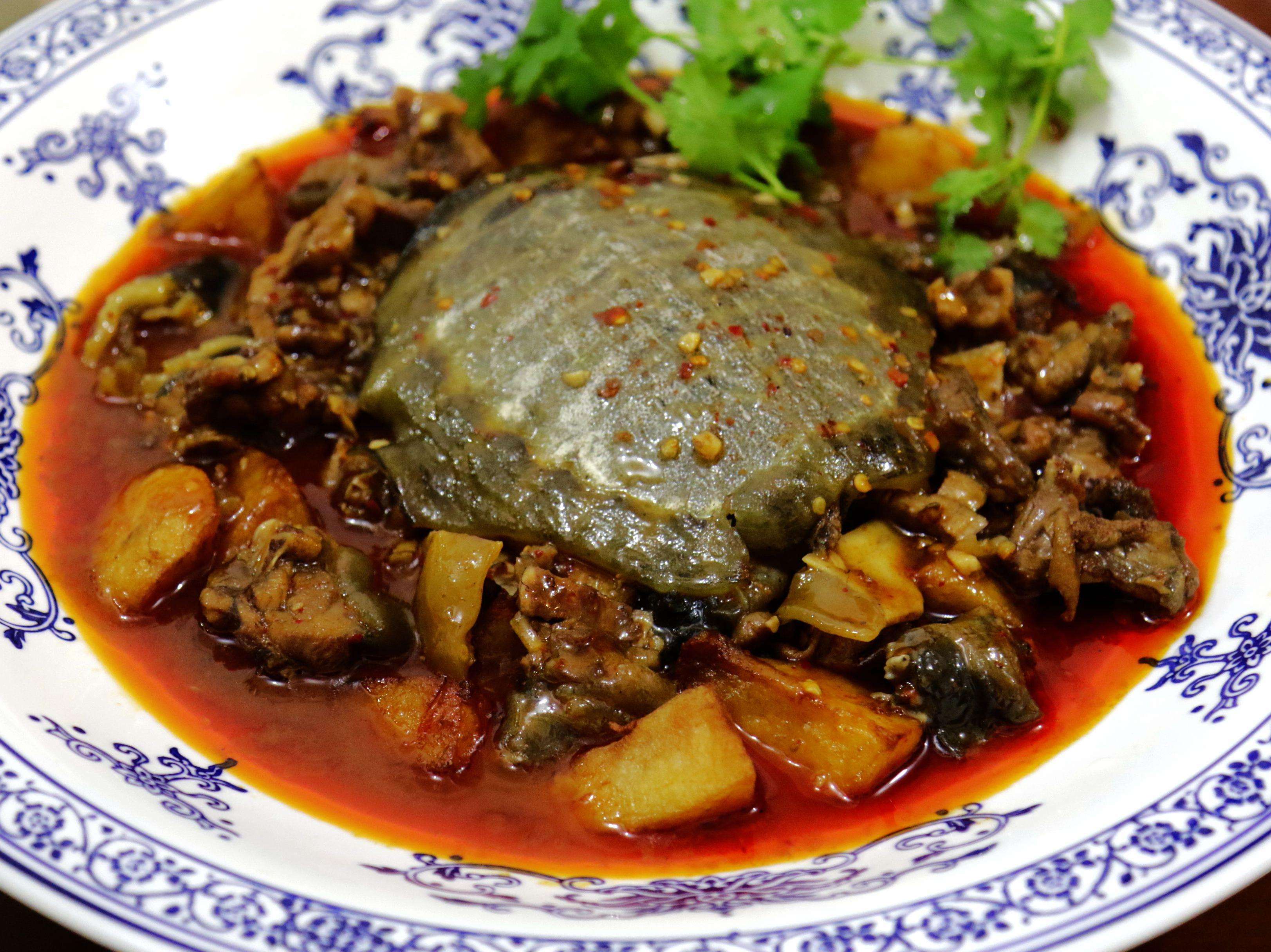 (2)红烧甲鱼2,把处理干净的甲鱼放进炖锅,加入水,加些肥肉和瘦肉片,加