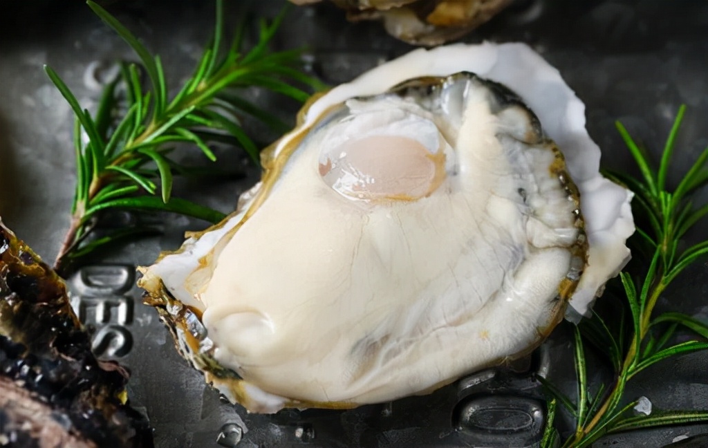 蒸生蚝的做法多长时间及窍门详解