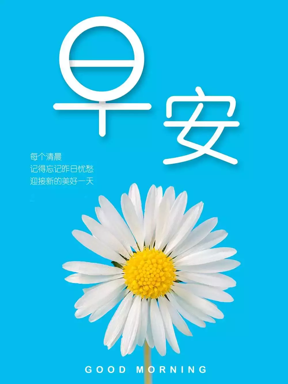 梦想不分高低贵贱,只要你心中有梦,早安