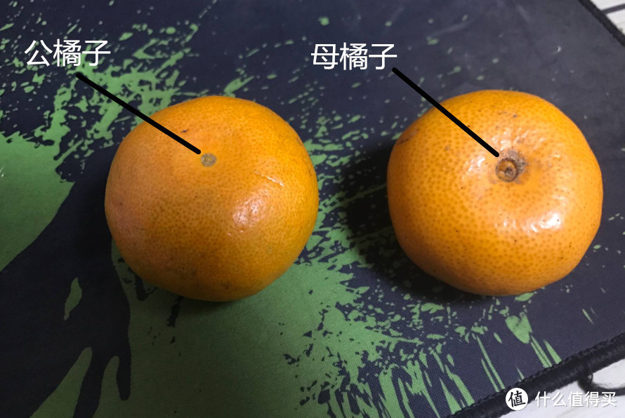 耙耙柑、沃柑、爱媛...转眼又到柑橘季！这份中国柑橘地图请收好