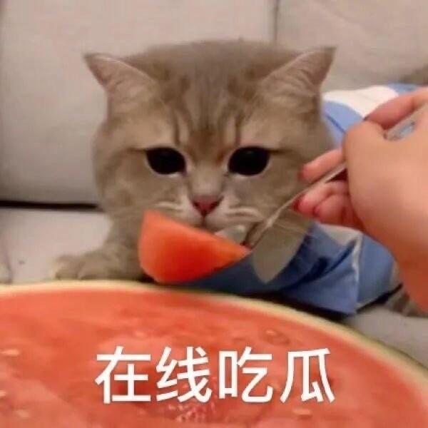 免费了15年！曾经的国产良心，今天终于杀回来