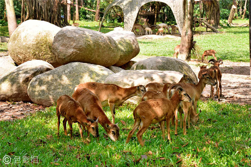三天三夜欢乐长隆之旅（附攻略）