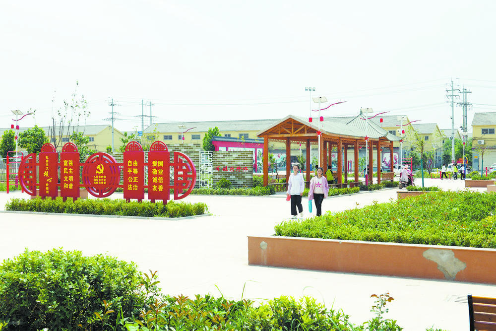 巨野县麒麟镇南曹村:群雁高飞头雁领,一业带动多业兴