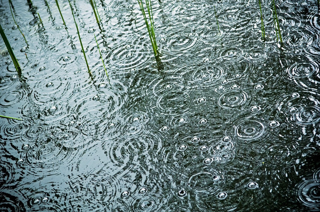 【卧听六月雨】：窗外细语敲窗棂，心随水珠共涟漪。