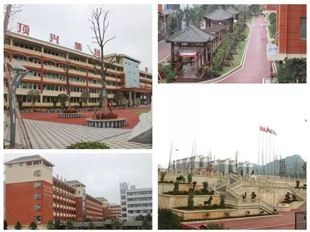 让梦想从这里起航，顶兴学校和峰林学校招生啦！