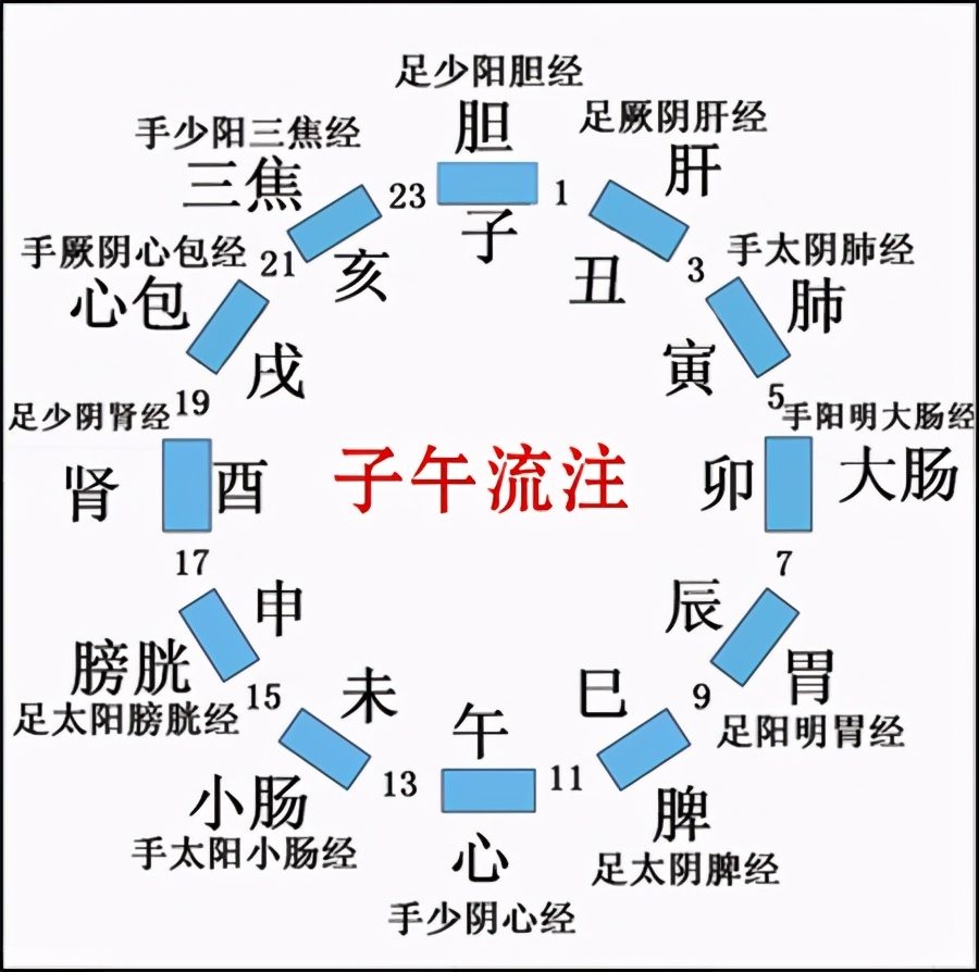 天干地支基础篇——干支分阴阳五行