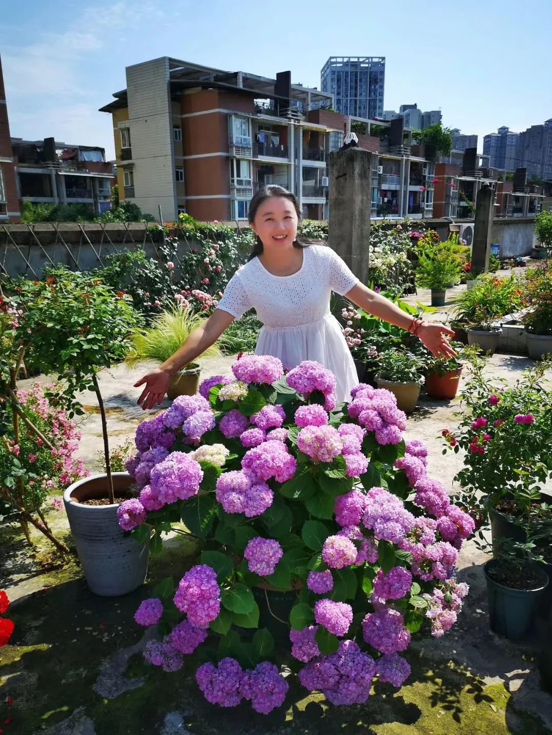 海妈花园访问｜想种花没地方？重庆小学老师在学校楼顶造了座花园