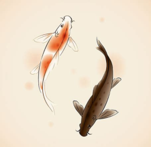 兰寿金鱼寿命有几年（年龄最大的鱼类排行榜公布）