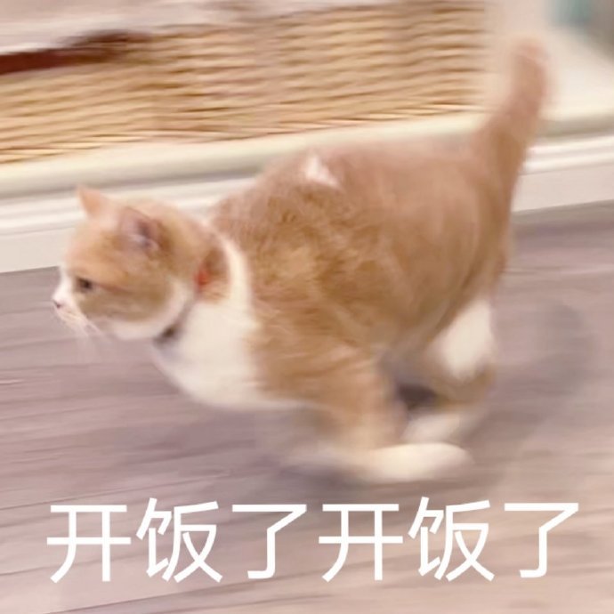 猫咪斗图表情包合集有没有想我鸭