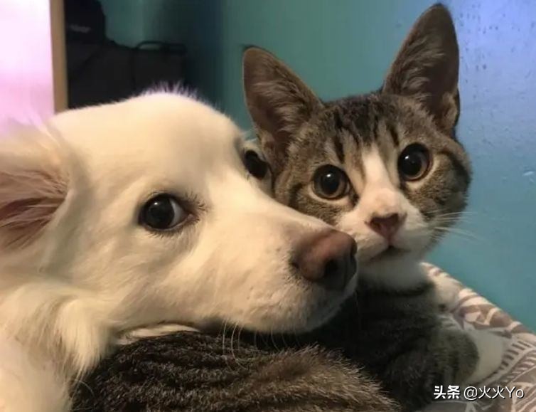 女生过生日适合送什么样的礼物，直男说，有救了