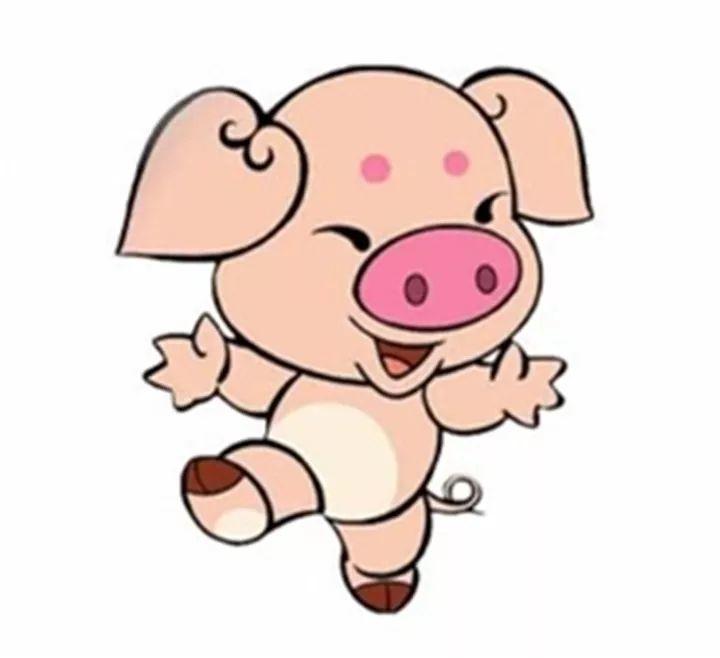 属羊的养什么花最旺财招财 金钱树君子兰富贵竹_达一风水网