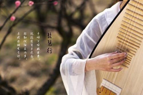 “江州司马青衫湿”是指谁，《琵琶行》如何赏析？