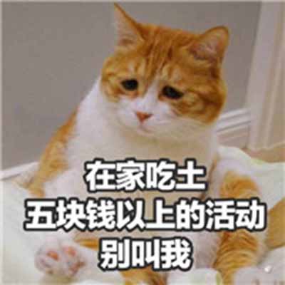 猫咪表情包：什么，你要帮我清空购物车