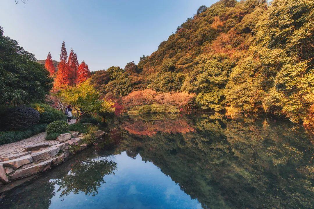 漫天香氛醉人~杭州的秋天从不让人失望！13个地方，秒出大片