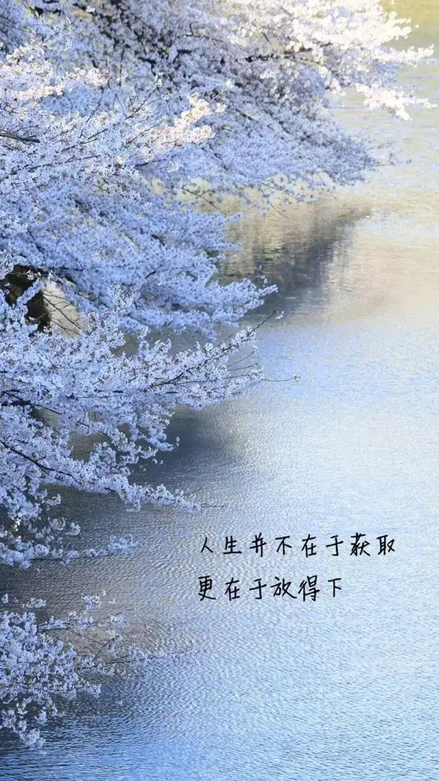 很火的抖音撩妹经典句子，陪你走过的青春，是我一生一次的认真