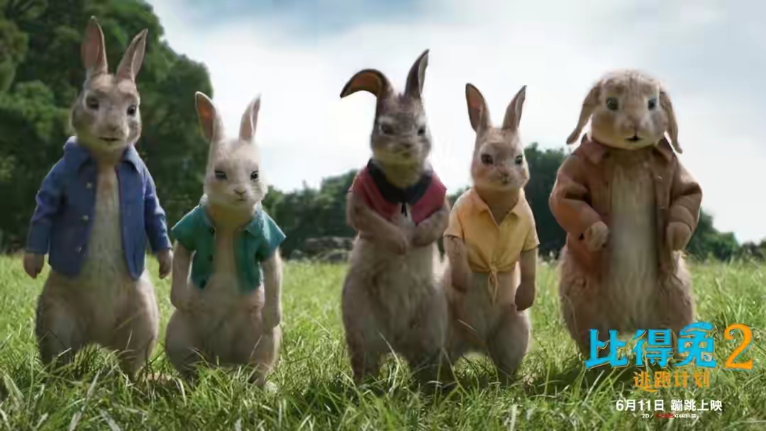 《彼得兔2》|好好说话，别让“淘气包”真的变成“坏孩子”