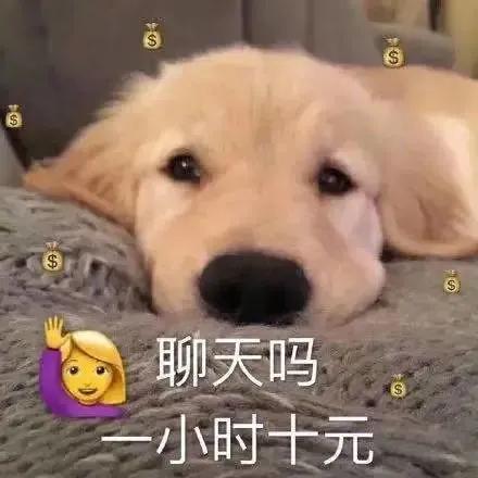 表情包：聊天吗? 一小时十元