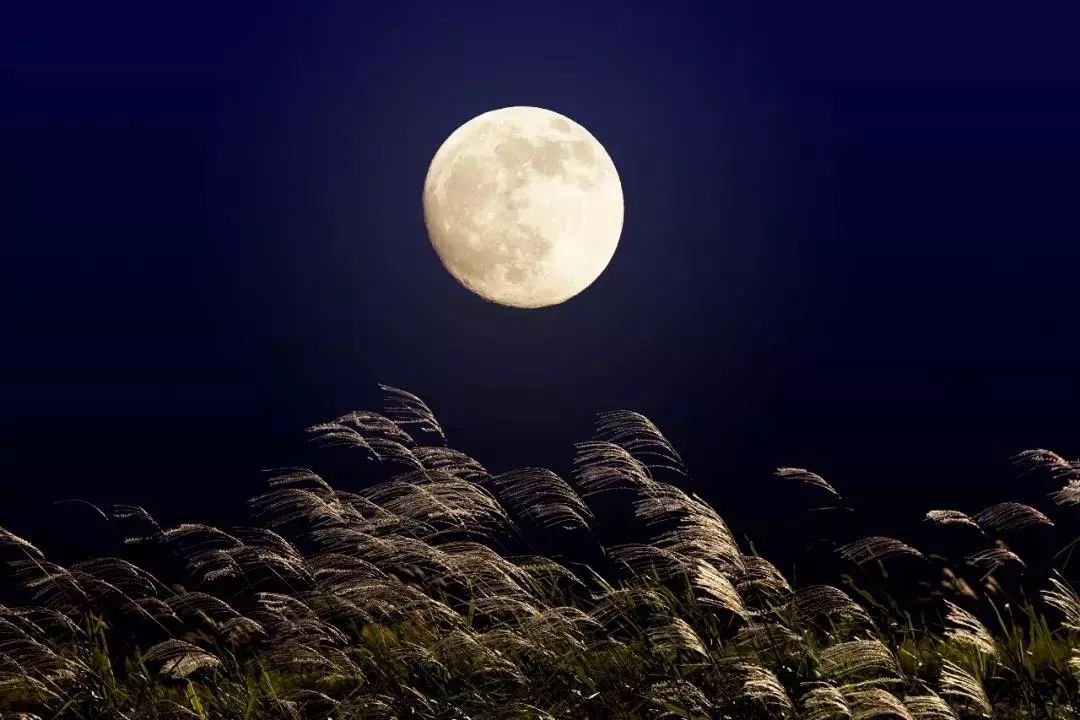 「原创」散文:月到中秋