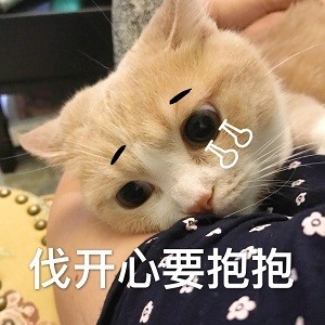 猫咪撩老公表情包合集｜好困困，要老公亲亲才起来