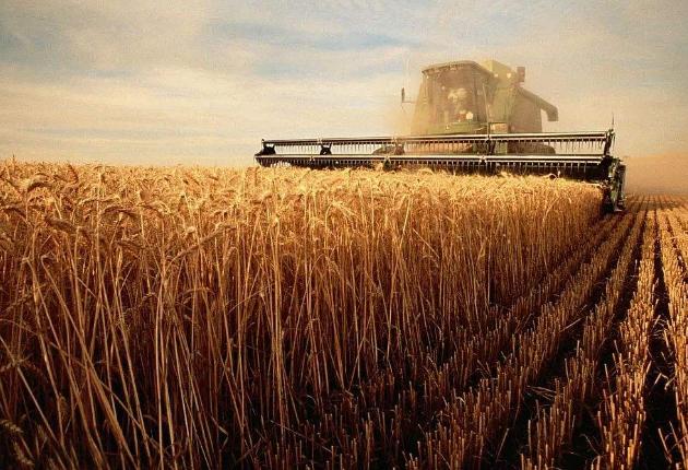 养殖业会计核算（农业合作社自产自销产品会计核算与免缴增值税）