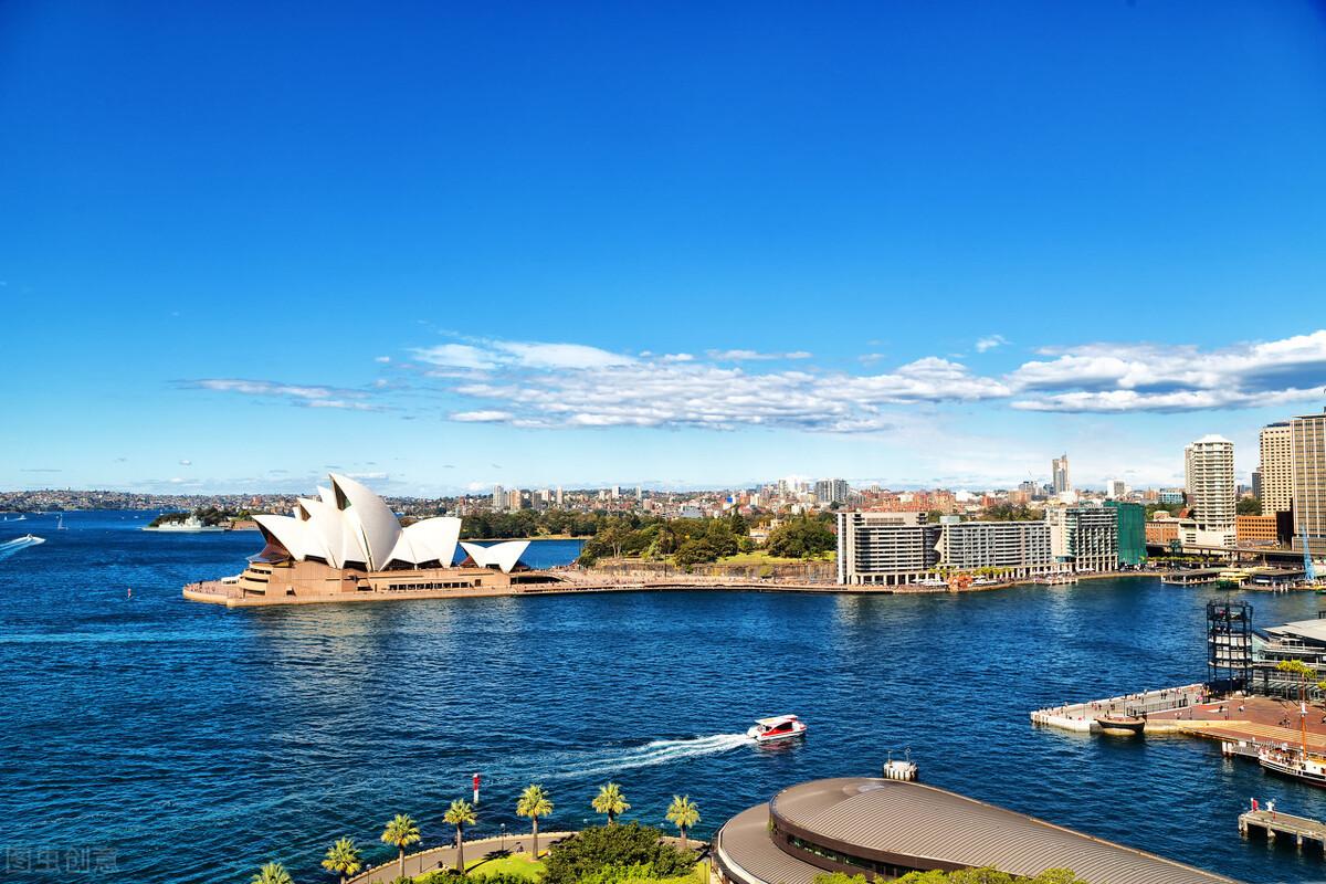 悉尼有哪些大学（大数据时代）