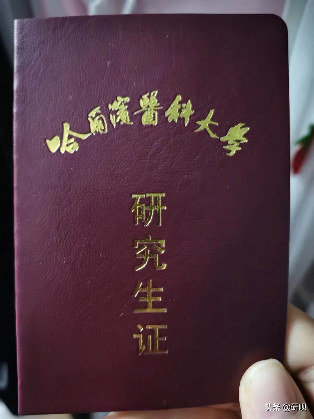 何凯文必背英语句型汇总：医科大学口腔考研冲刺必备