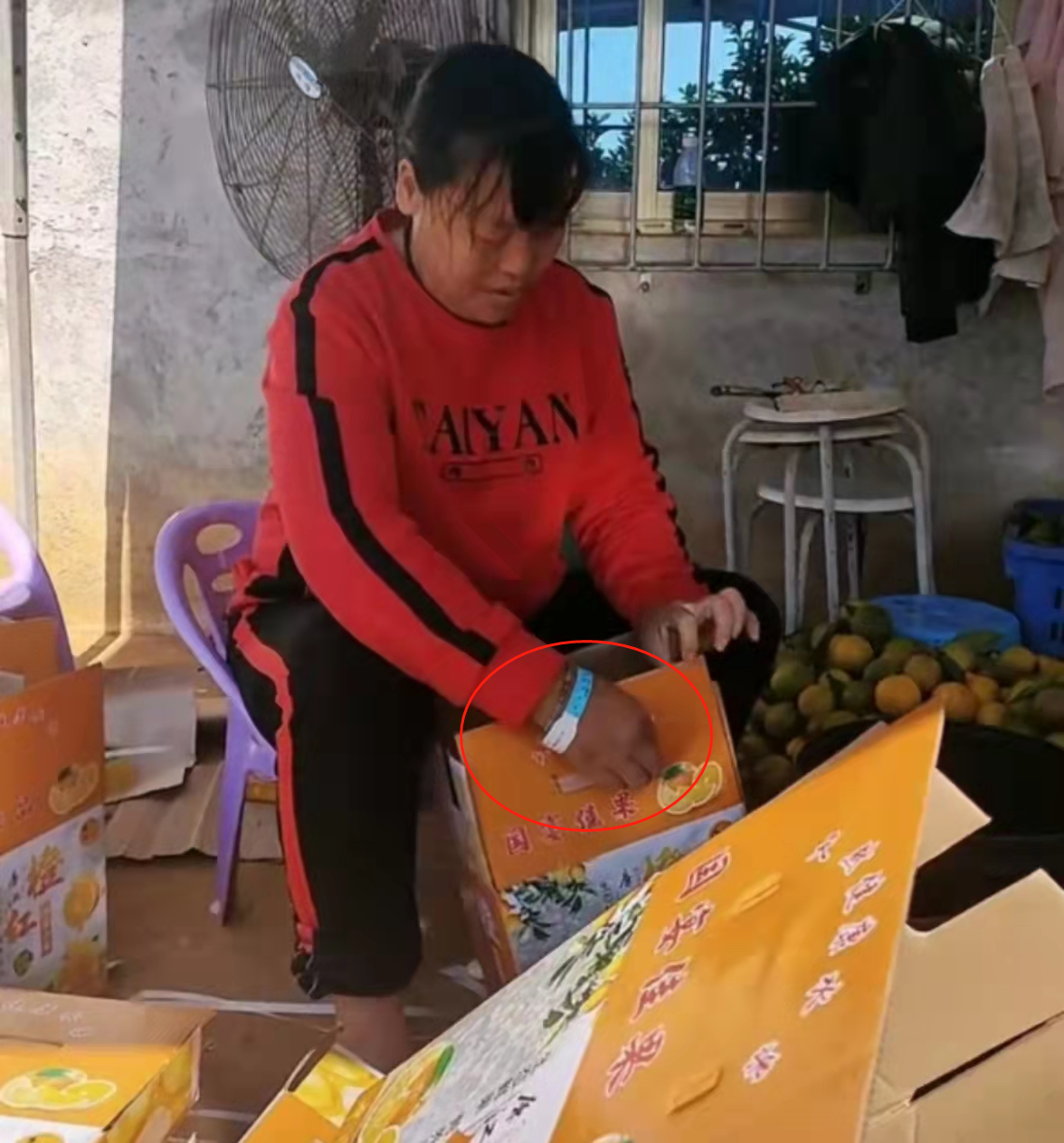 全红婵家果园生意火爆，网友赞不绝口，本尊也回应好吃