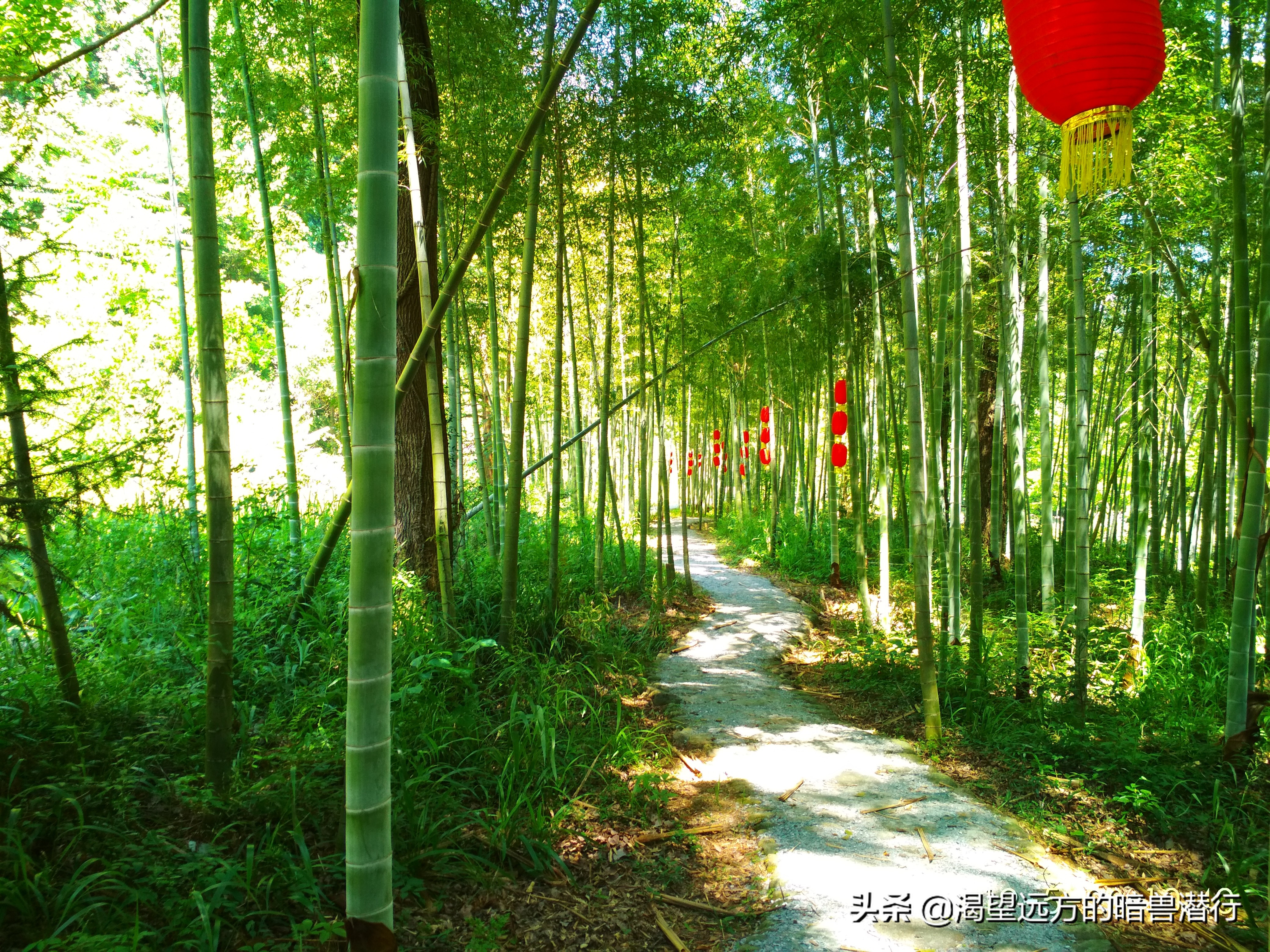 比成都更悠闲的自驾两日游，无门票，古镇景点玩水，美食都有