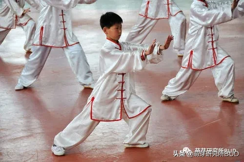 什么年龄报什么兴趣班?常见的兴趣班汇总,一个比一个烧钱