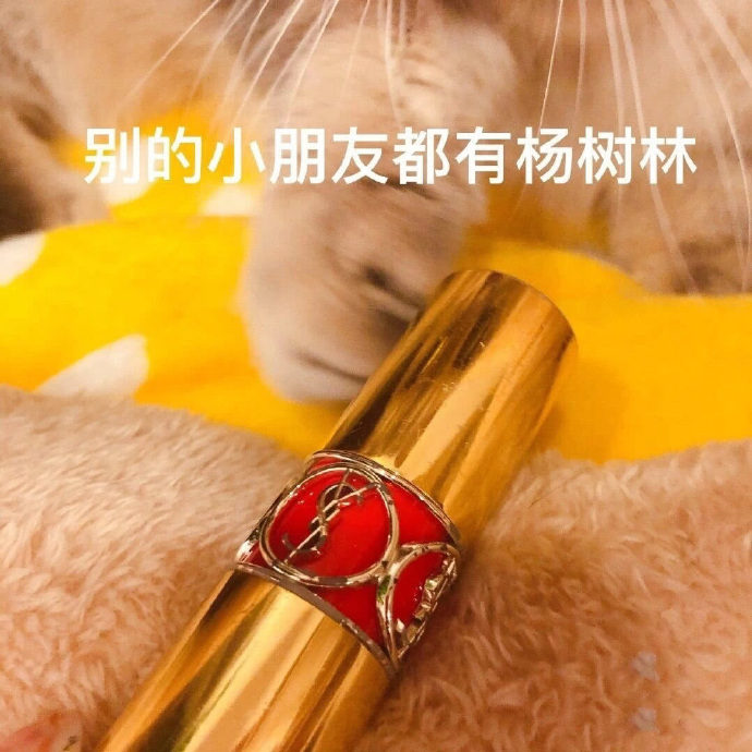 套路老公买口红的猫咪表情包合集