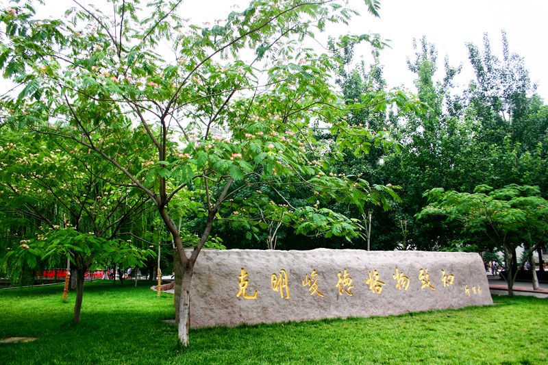 山东专科会计学校排名（山东财经大学实力如何）