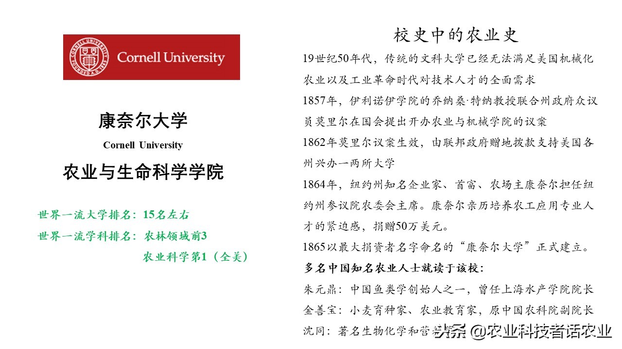 中国农大，荷兰农大，美国农大，日本农大，谁是世界第一农大