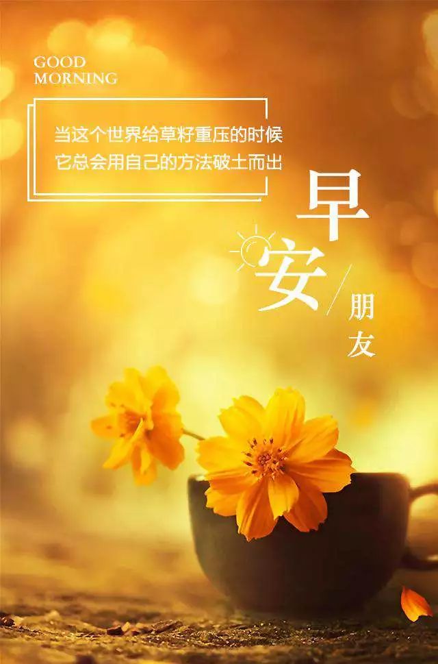 春分时节，希望你与寒冷分开，与幸福相接，祝你快乐，早安