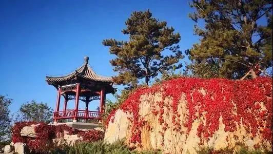 2021北京红叶观赏指南，10处绝美赏红地推荐，错过就要等明年了