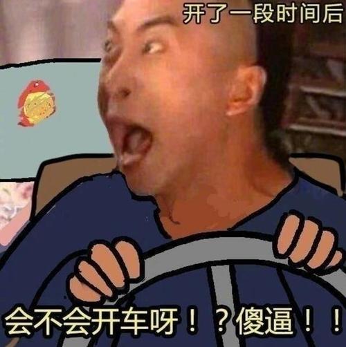 关于开车的表情包合集｜我可以约你一起开车吗