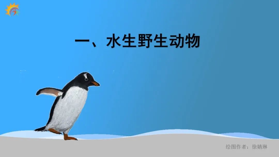 企鹅是一种最古老的游禽，它是一种鸟类，因此企鹅没有牙齿