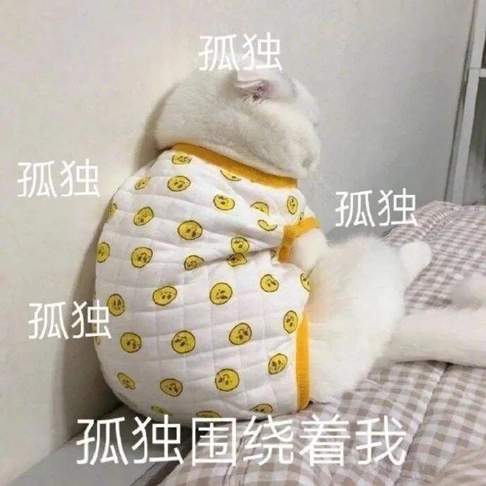 表情包：睡了，别烦我
