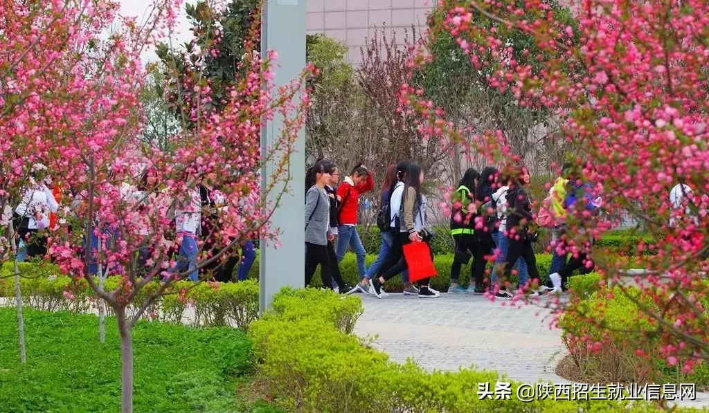 阳光正好丨多维度、高清图，带你一起了解咸阳职业技术学院
