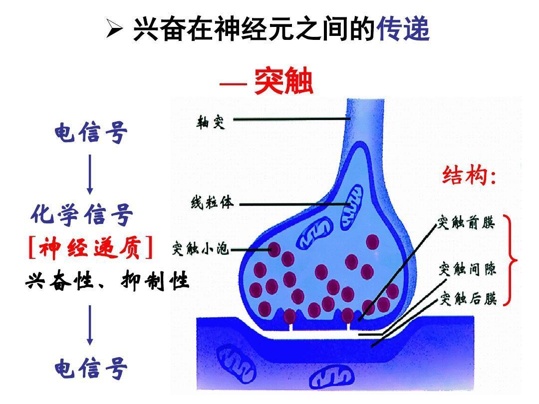 干涉肯定会产生一些弊端,盐酸达泊西汀阻止了5-羟色胺神经递质的传递