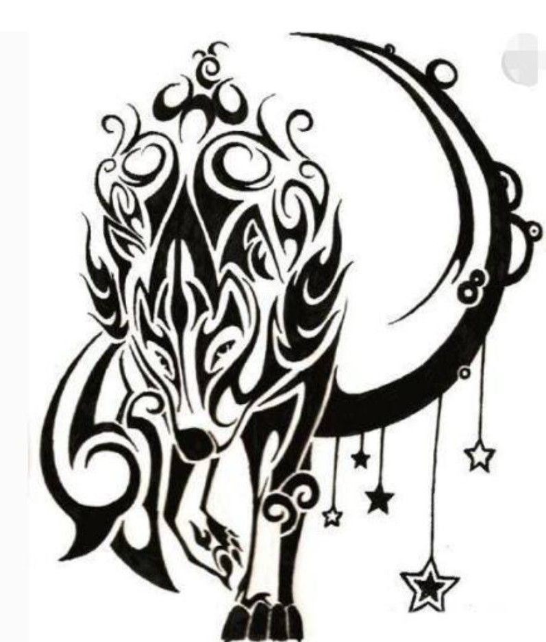 十二星座的守护神兽,图腾,性格及基本信息---水瓶座