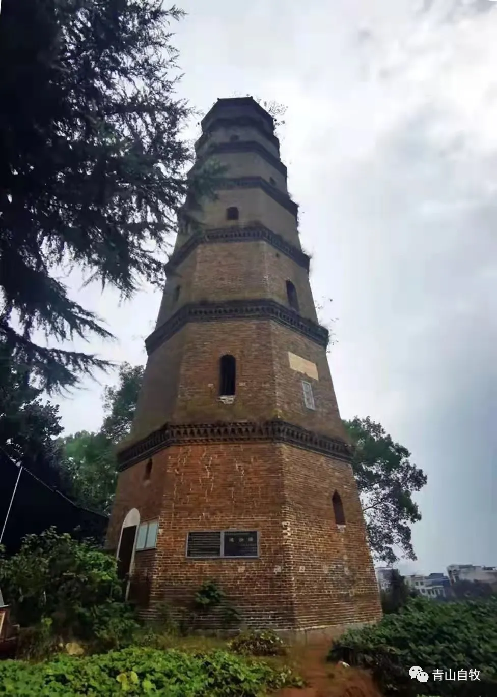 在湘西南,曾有一所黄埔军校第二分校