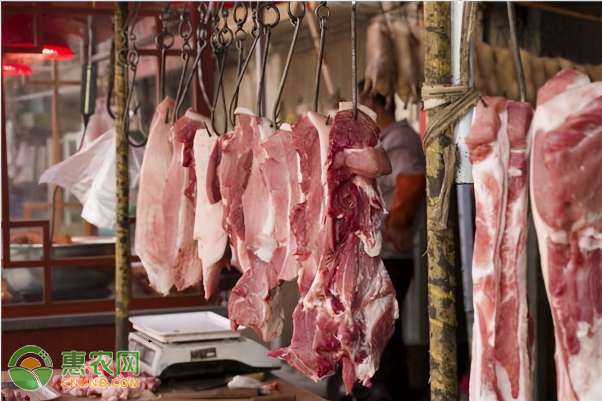 猪肉价格还会下降吗？附：2020年10月24日猪肉价格行情