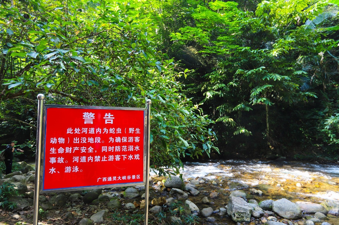 地球上最绿的瀑布，还是植物的王国，在广西你去过吗
