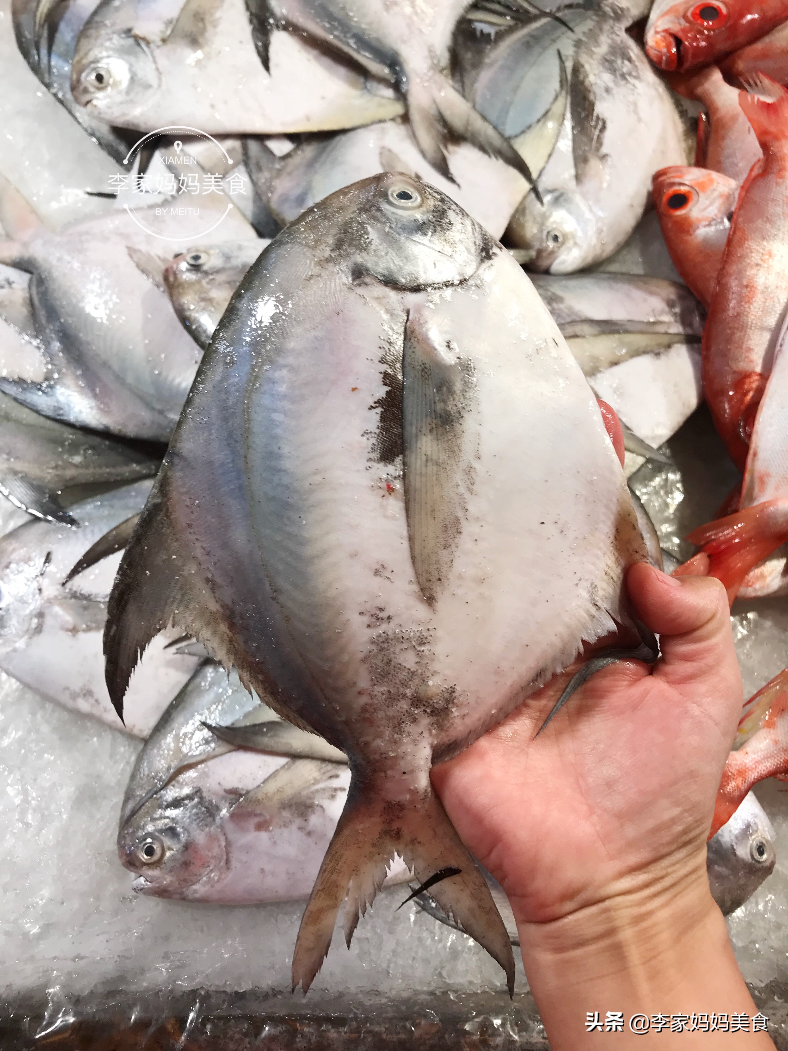 聪明人就买这6种鱼,目前无法人工养殖,渔商贩:遇到行家了