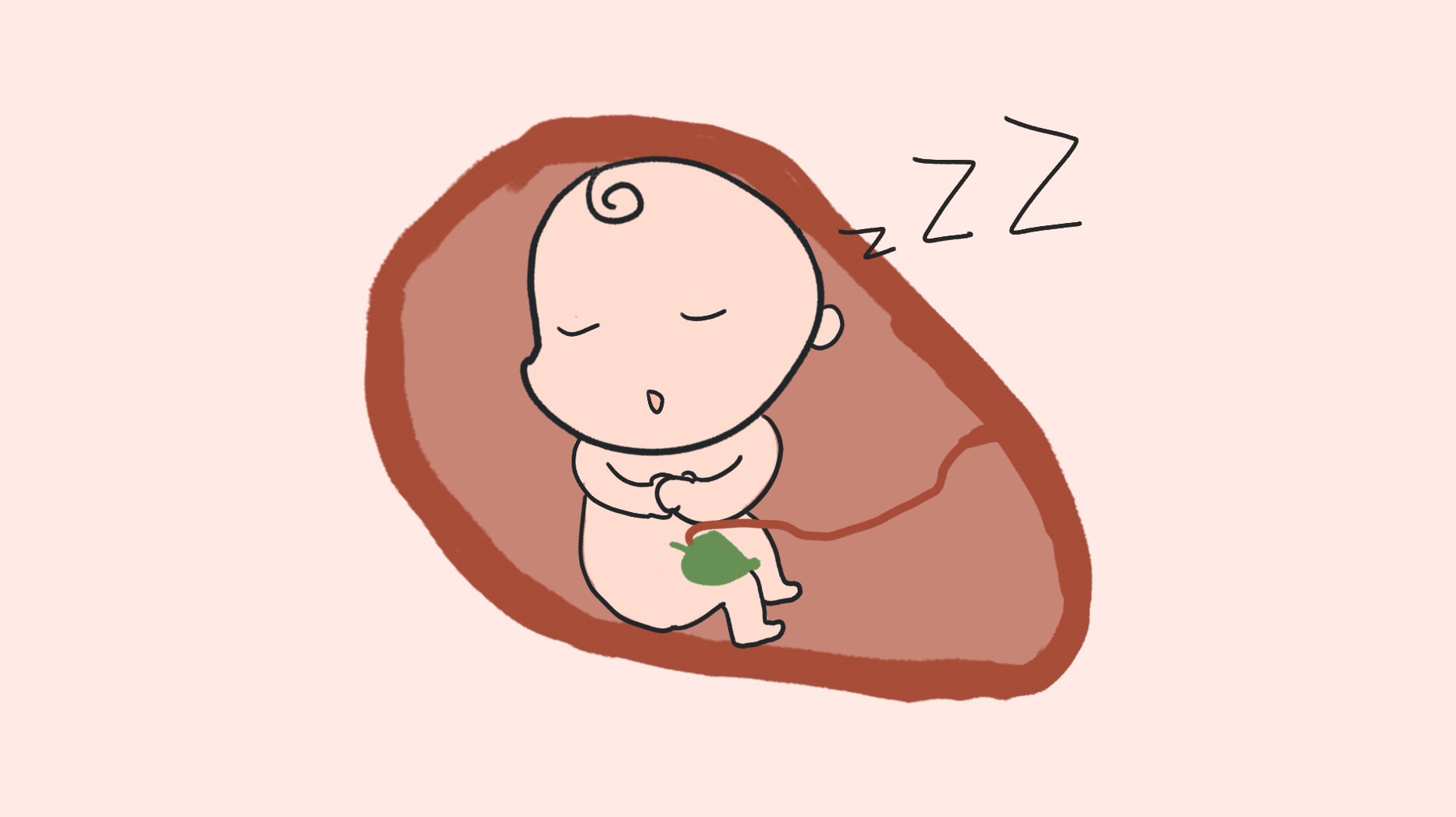 胎儿睡觉卡通图片图片