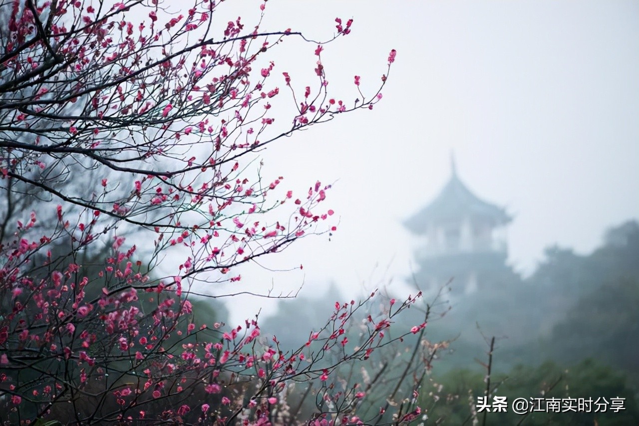 无锡园林一卡通可去九景区，含5A景区鼋头渚、锡惠公园，合算吗？