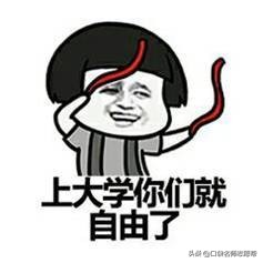 挂科20学分就劝退，五所大学不上难受，上了更难受。学生：太难了